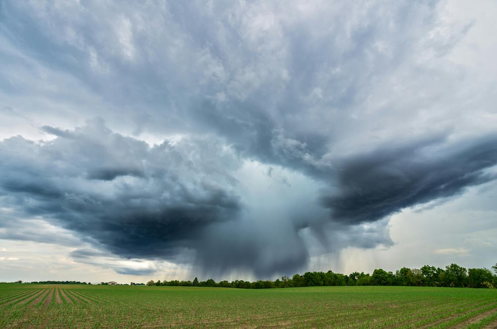 Conseguenze Naturali dei cambiamenti climatici